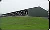 sheep shed