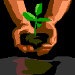 Blooming Good Jobs