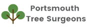 Portsmouth Tree Surgeon