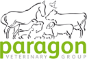 Paragon Veterinary Group