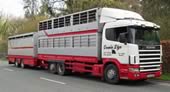 UK Livestock - Owain Llyr