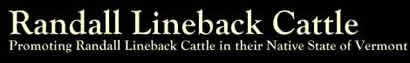 Randall Lineback cattle 