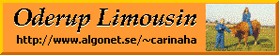 oderup limousin cattle