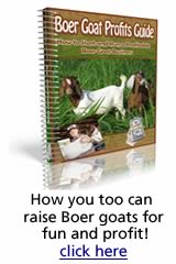 Boer Goat Profits Guide
