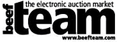 Electronic Auction Market