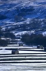 Barns in Swaledale