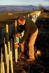 Planting Trees