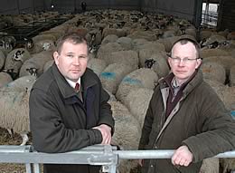 Whinfell Park’s estate manager, Nick Scholefield and farm manager, Ian Scott