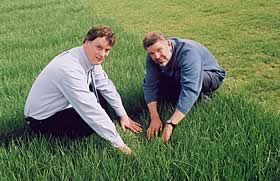 AberStar breeder Dr Pete Wilkins (right) and British Seed Houses director Paul Billings at grass breeding plots at IGER, Aberystwyth