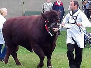 great yorkshire show