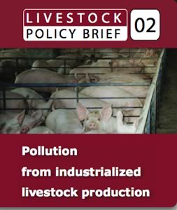 Livestock Policy Brief 02, Pollution from industrialized livestock production