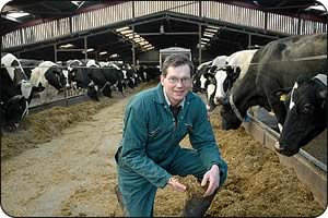 Andrew Addison with his silage, and cows