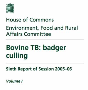 bovine tb badger culling