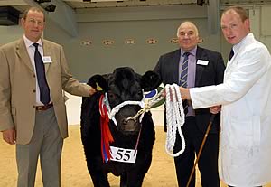 Left to right, Beef Expo organising committee chairman Ian Watson, judge Terry Coghill and Alister Vance with his suckled calf champion, a Limousin cross heifer Sassie Lassie.