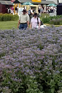 visitors checking out the arable plots at the 2005 Great Yorkshire show.