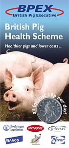 british pig health scheme