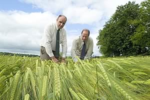 Michael Shannon (left) with SAC’s Donald Dunbar. Sowing fodder crops into standing cereals can give them a headstart and boost yields