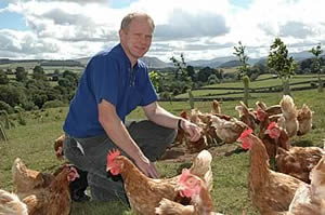 David Brass and his free range chickens