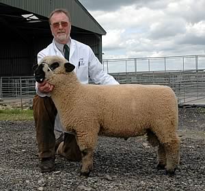 Chris Westlake, of Cadeleigh, Tiverton bred the top ram judged on conformation on the Signet SRS 2006