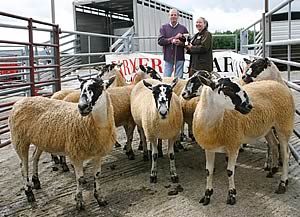 Peter Fox receives the Skipton mule shearlings trophy from Olwen Hazell, of the Farmers Guardian.