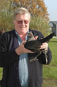 Peter Watkinson with the 2004 show champion, a Carlisle Old English Game Female
