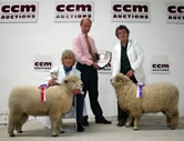 Ryeland Downs took both the inter-breed championship and reserve championship at Skipton. Victor Margaret Hipps, left, is joined by runner-up Sylvia Halmshaw and main sponsor Nick Gray, centre.