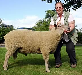 Anne Loftus is pictured with her Skipton Charollais ram champion.