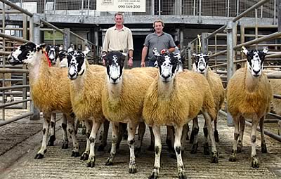 Robert Fox, right, parades his Skipton shearling gimmers champions, joined by judge Richard Brown.