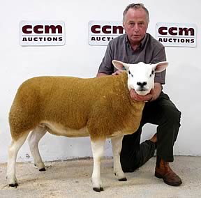 Peter Woof with his Skipton Texel supreme champion.