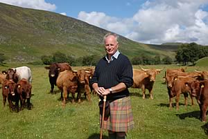 John Gibb with Highland cows and crossbred calves and stock bull Glenisla Vagabond.