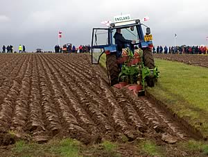 Simon Witty, ploughing for England