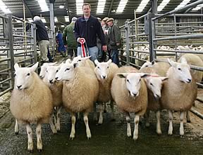 John Bownass ushers his Skipton Lleyns champions