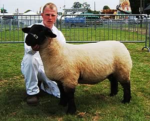Tom Cox is pictured earlier this year with his interbreed champion ewe lamb