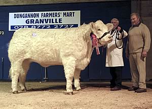 Coolnaslee Violet, the female and overall reserve supreme champion, made 8,000gns
