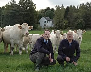 SAC's Gavin Hill and SAC Bush's stockman Ken Oman among the pure commercial Charolais herd.