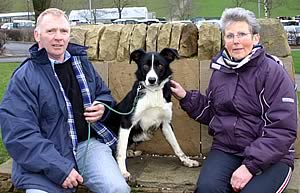 An alert Ben, top dog at the Skipton sale of working sheepdogs, is pictured with vendor Aled Owen and his new owner Aurwen Price