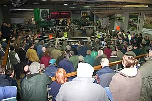 Crowds pack into the cattle ring at Skipton at last year’s Craven Champions Day