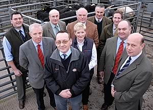 Cumbria Association of Livestock Auctioneers