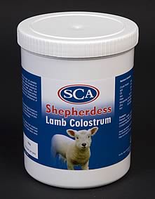 lamb colostrum