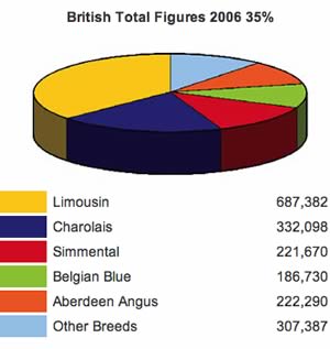 Limousin sired birth registrations account for 35% of available market share.