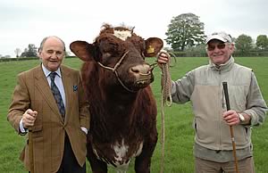 Michael Abrahams, left, and farm manager Ray Sanderson, with stock bull Cairnsmore Thrasher.