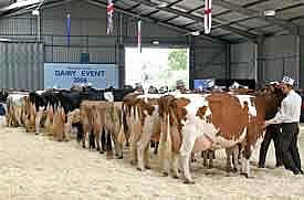 dairy event
