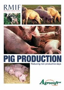 pig production