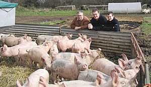 North Yorkshire pig farmer Mark Burton