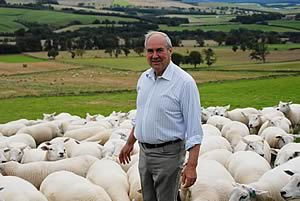 Richard Oates and the Lumbylaw ewes