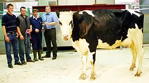 Craven Dairy Auction champion