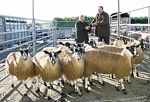 James Hall receives the Skipton NEMSA 10’s Mule gimmer champions trophy from co-judge Margaret Watkinson.