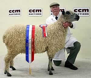 Frank Pedley with his late wife’s Skipton Wensleydale supreme champion.