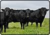 dexter