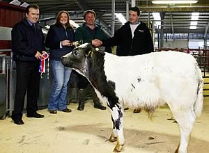 Skipton Christmas calves champion